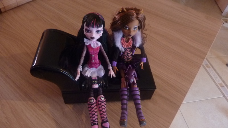 Mes Monster High (ma nouvelle) P1010827