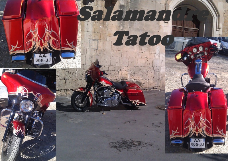 Je vous présente Salamandre Tatoo Salama10