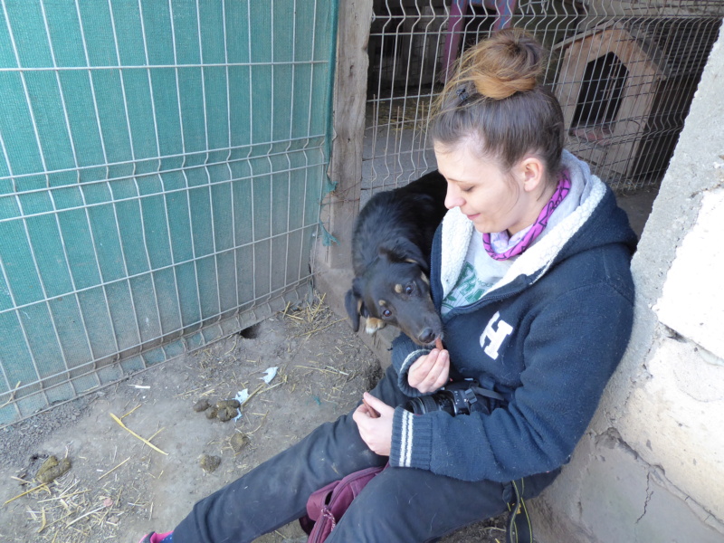 TEXANE, née en 2021, sauvée de Pallady avec 4 autres chiens - parrainée par Coco65-SC-R- P1010143