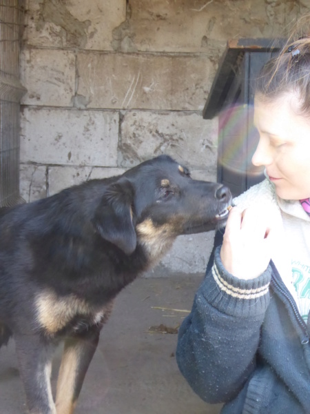 TEXANE, née en 2021, sauvée de Pallady avec 4 autres chiens - parrainée par Coco65-SC-R- P1010148