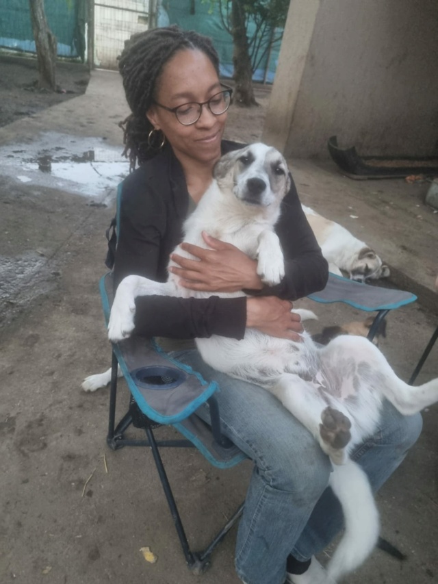 PINCEAU, NE LE 12.07.2023 - en FA dans le 91 - fratrie de 7 chiots trouvée devant le refuge - Parrainé par Audrey P. -R-SC What3367