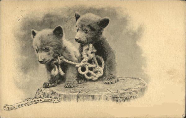 L'Ours sur les cartes anciennes. - Page 2 Caryte10