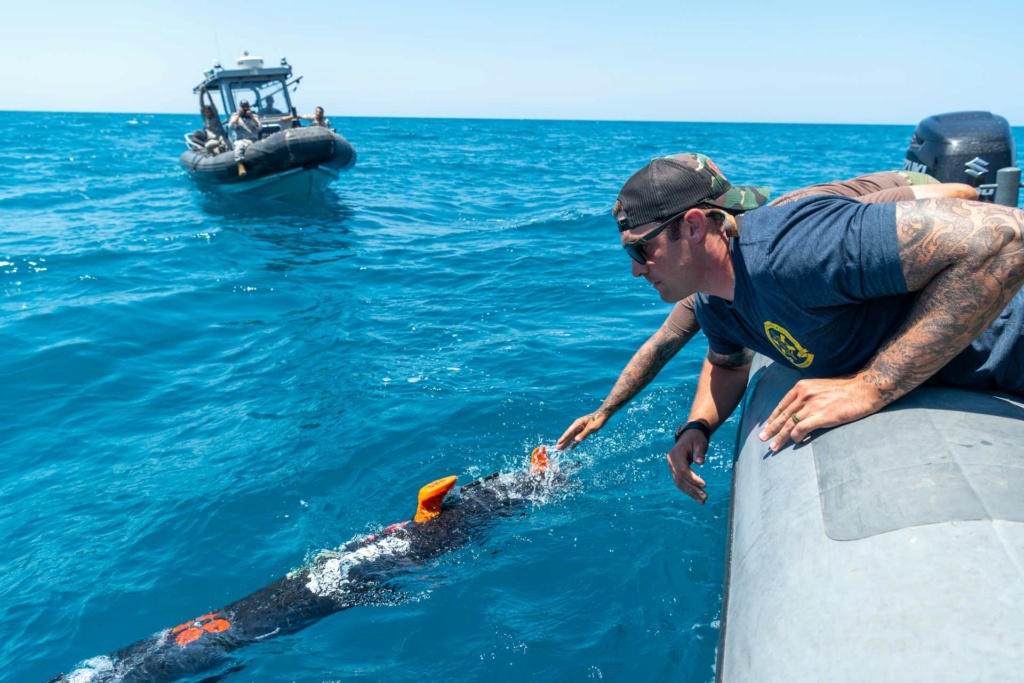 US Navy : sujets divers - Page 32 11226