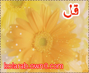 أهلا بكل العربmms22 أهلا بكل العربmms22
