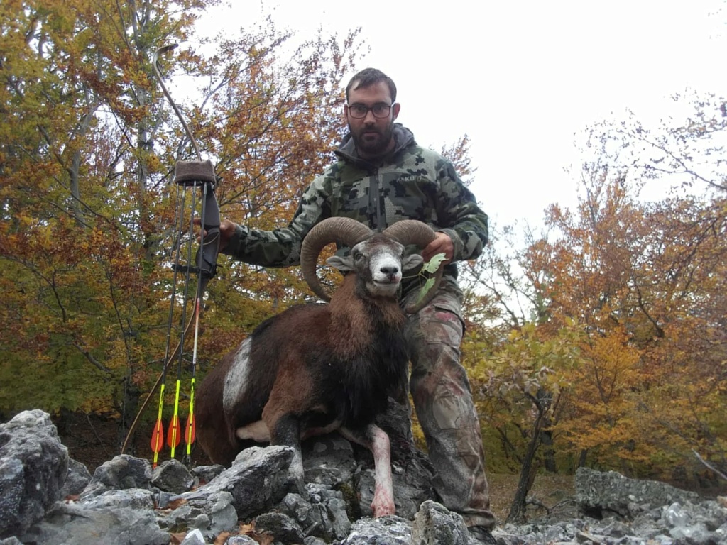 Chasse à l'arc