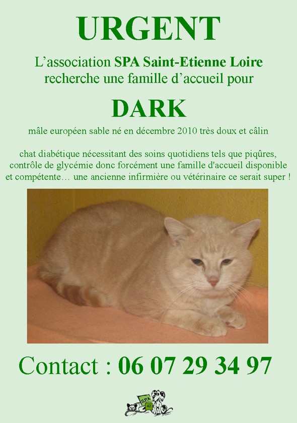 URGENCE pour DARK - chat diabétique - SPA Saint-Etienne Loire (42) Spa_fa11