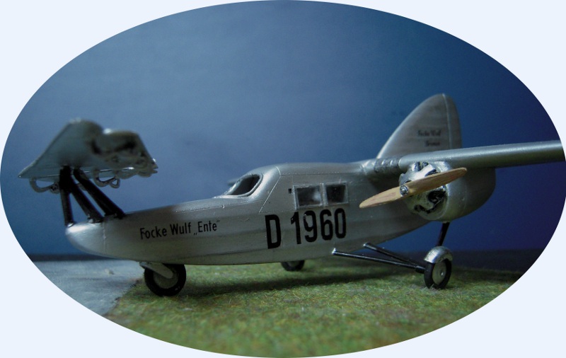 Focke Wulf F-19  Ente  Dscn2328