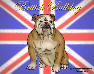 BritishBulldogs
