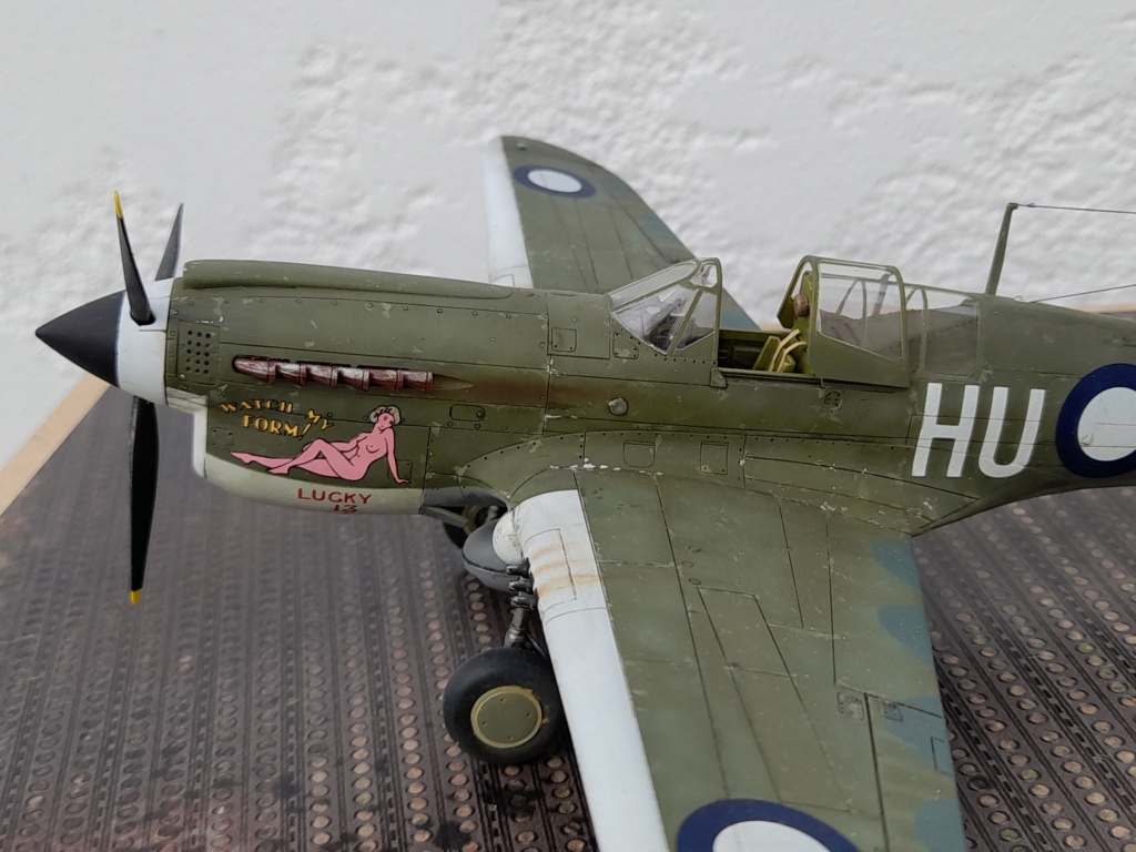 [Vitrine concours "la guerre du Pacifique-1941-1945"] P-40 N Kittyhawk RAAF Nouvelle Guinée 1944 20211123