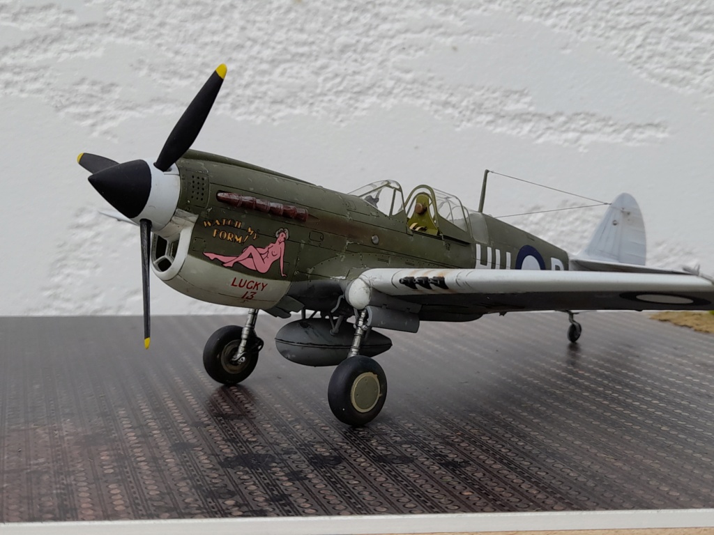 [Vitrine concours "la guerre du Pacifique-1941-1945"] P-40 N Kittyhawk RAAF Nouvelle Guinée 1944 20211124