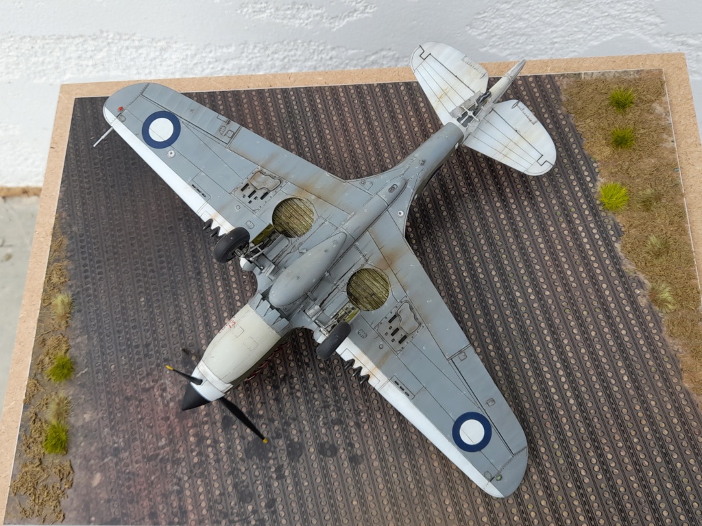 [Vitrine concours "la guerre du Pacifique-1941-1945"] P-40 N Kittyhawk RAAF Nouvelle Guinée 1944 20211126