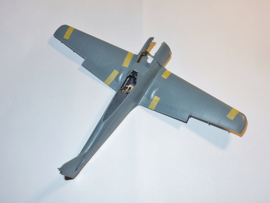 [GB Eduard] Fw 190 A-4 profipack 1/48 Dscn1354
