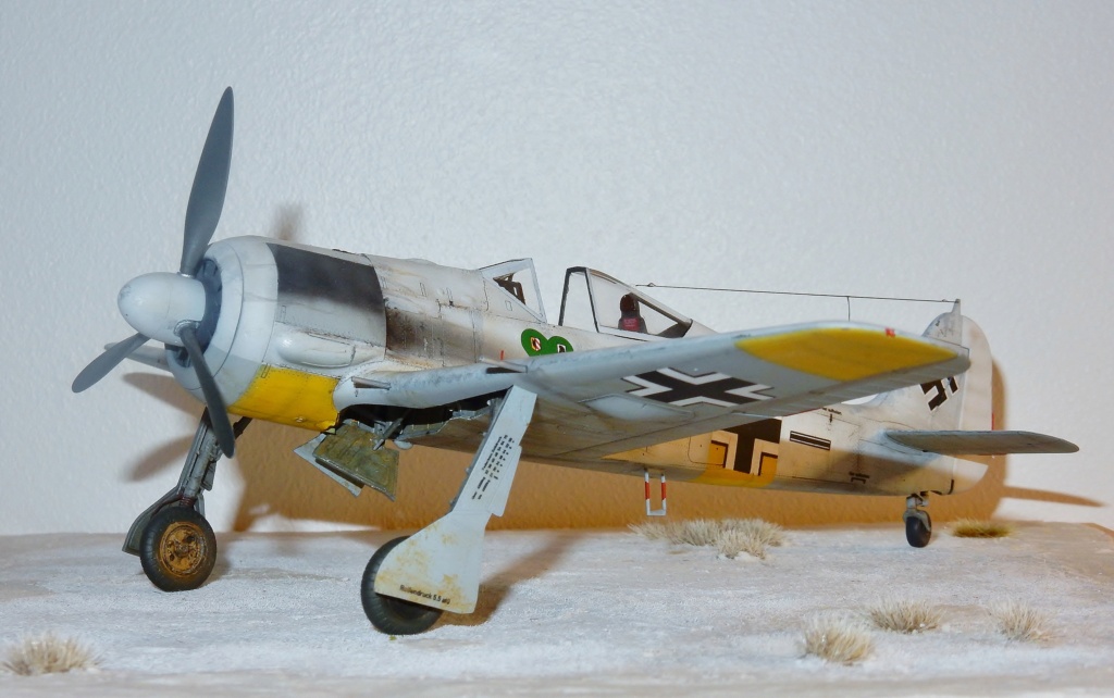 [Eduard] 1/48 - Focke-Wulf Fw 190 A-4    (fw190) - Page 2 Dscn1527