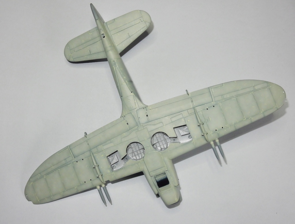 Fairey Firefly Mk-1  au 1/48 Trumpeter - Page 2 Dscn1564
