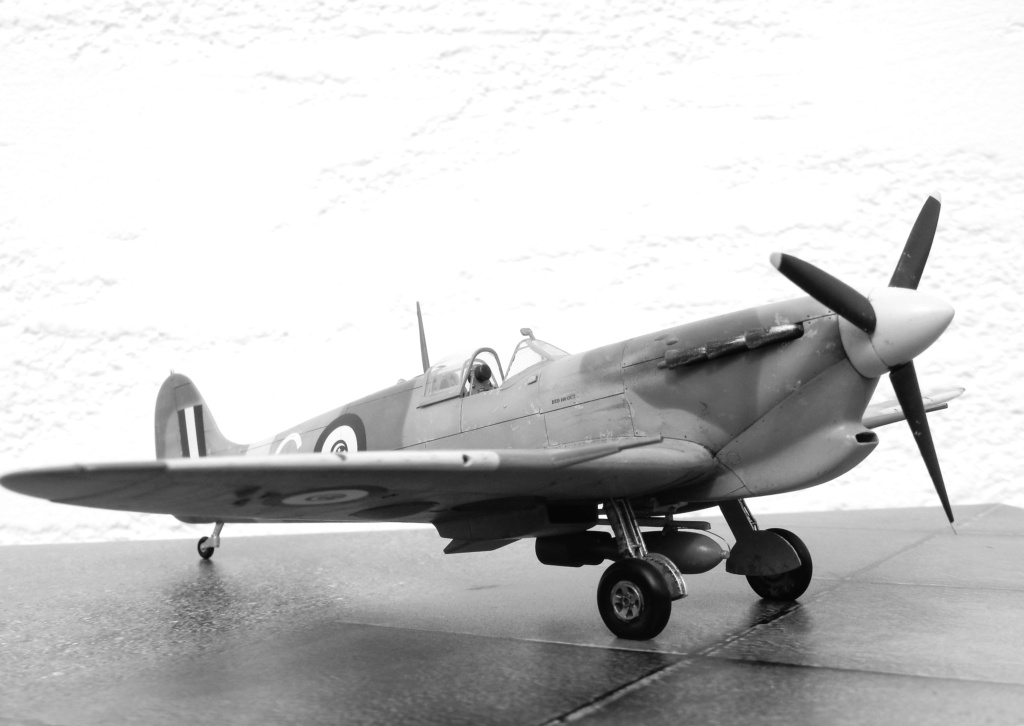Spitfire  Mk V Egyptien  (Hasegawa 1/48 ) Dscn2413