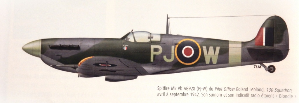[Eduard] 1/48 - Supermarine Spitfire Mk Vb de Roland Leblond n°130 Sqn 1942  Dscn2659