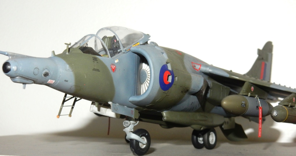 Hawker Siddeley Harrier GR-3 n°1 Squadron 1982 (Kinetic 1/48) Dscn3345