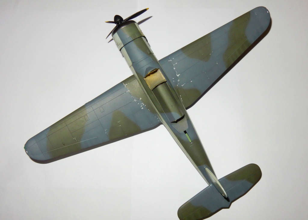 [Special Hobby] 1/48 - Blackburn Skua n° 800 Squadron juin 1940  - Page 7 Dscn3954