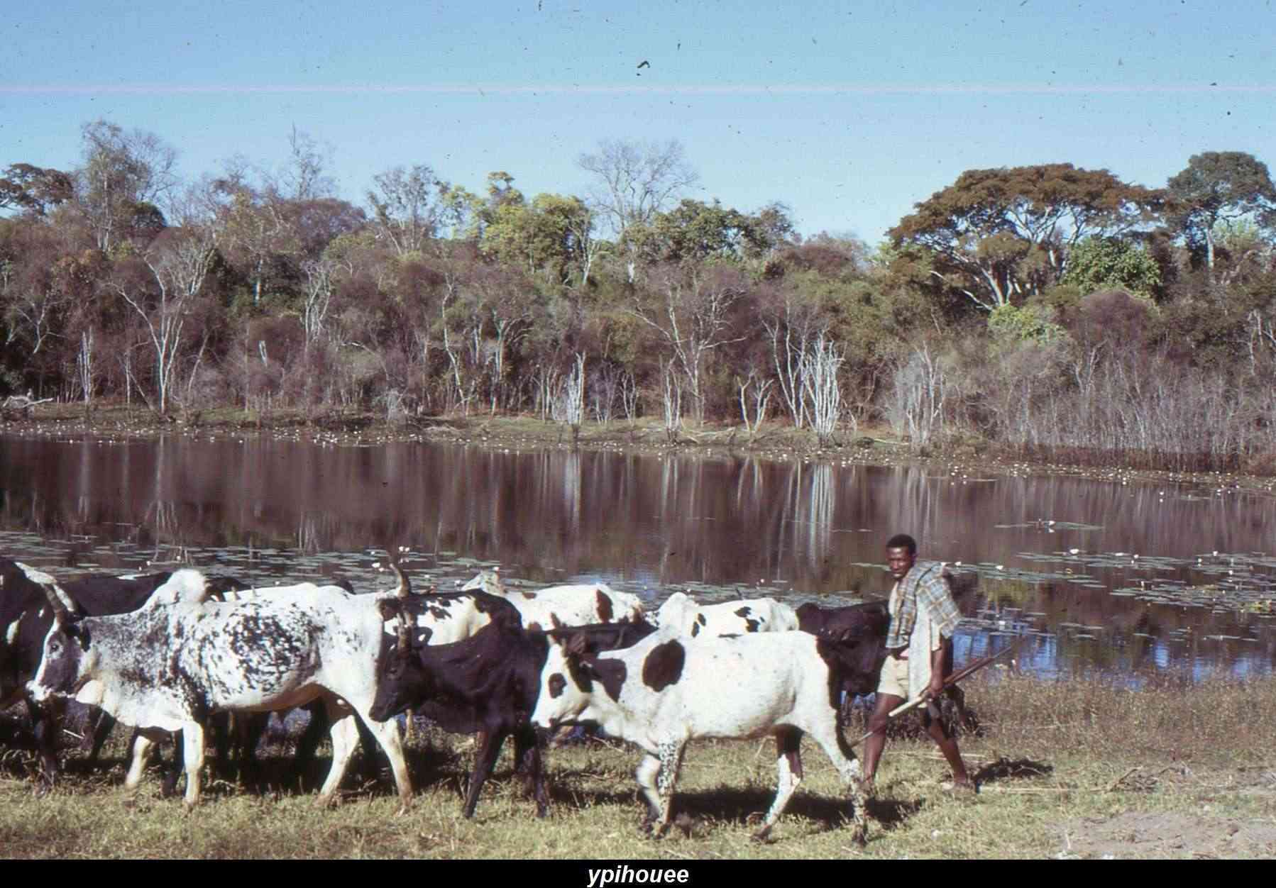 [Campagne] TULEAR - IFATY - SAINT-AUGUSTIN - ANAKAO Img75710