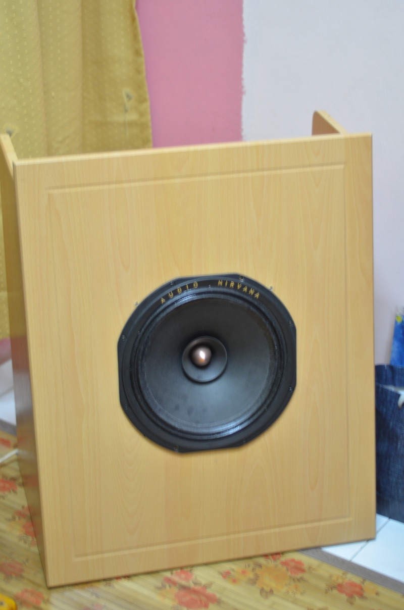 Audio Nirvana 12" speaker in "Open Baffle" Dsc_1811