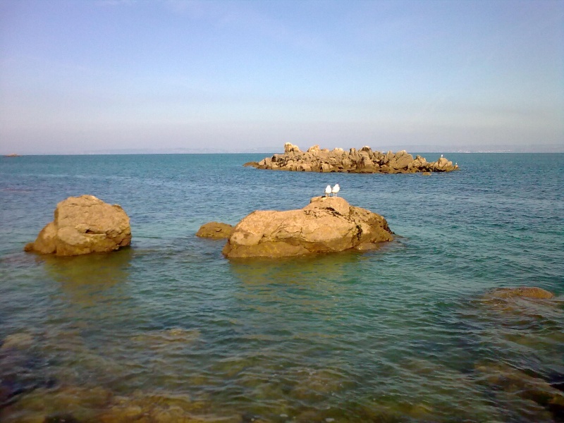 Sea, sun and....DOUARNENEZ  19022014