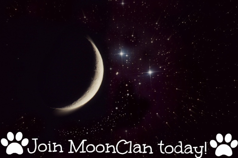 MoonClan Recruitment + We need a new medicine cat! Luna-m10
