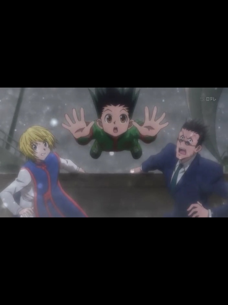 Hunter X hunter - Page 6 Image11