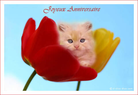 Anniversaire Grey Stephanie Anniversaire Grey Stephanie
