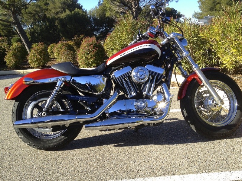 combien sommes nous en 1200 Sportster sur Passion-Harley - Page 21 Img_3110