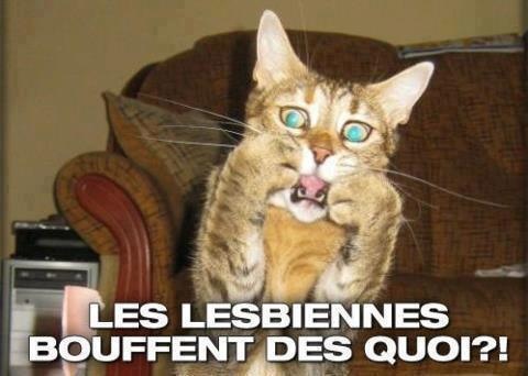 Humour en image ... - Page 22 Img_3912