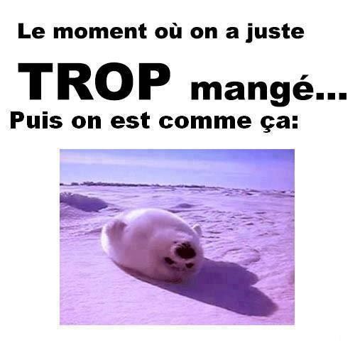 Humour en image ... - Page 22 Img_3913