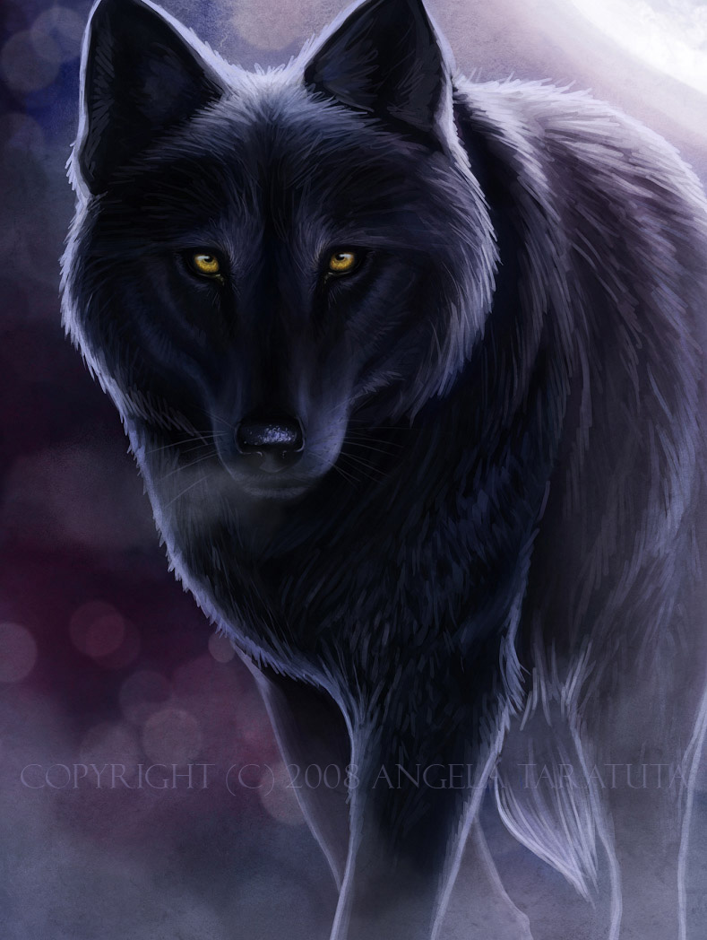 Nightwolves und Moonwolves Dark_w11