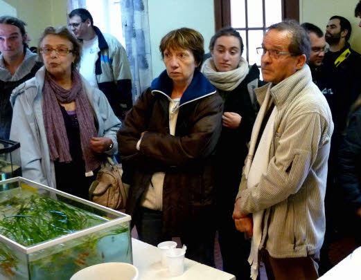 Porte ouverte Aquarioclub Plouescat Le 13 Avril 2013 - Page 3 20759110