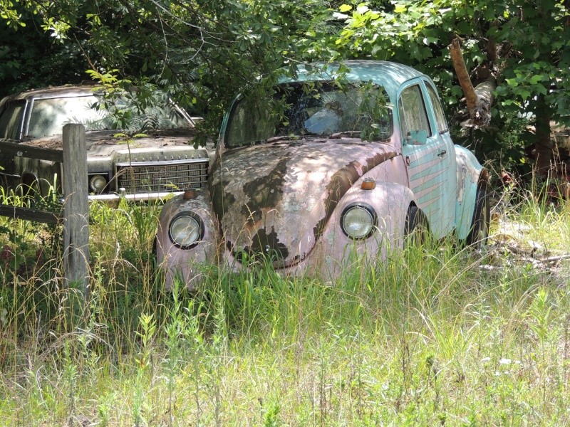 Rusty and abandonned cars  06610