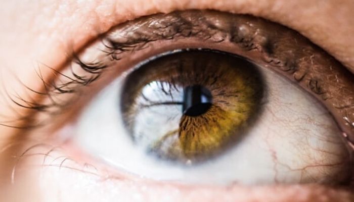  الدموع الصناعية لعلاج جفاف العين	 2-810