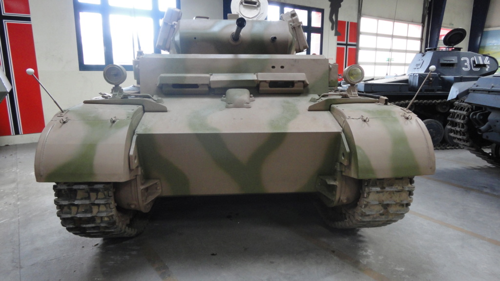 Luchs - Panzer aufklarungs abteilung 9  Dsc04659