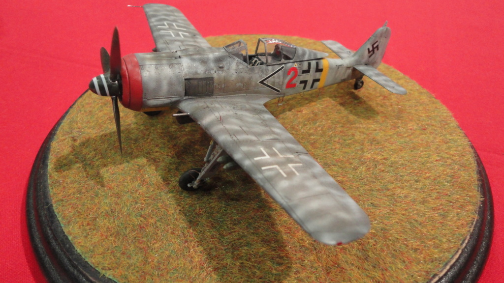 Fw 190 F-8 [TERMINE] Dsc05124