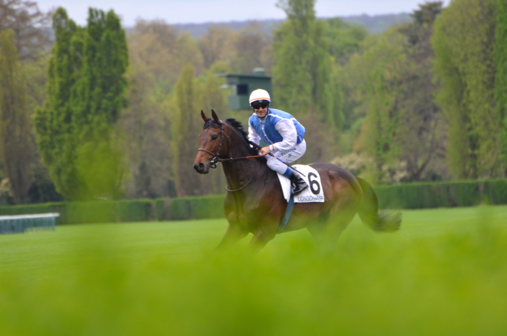 Le Grand Entretien sur Equidia 14040610