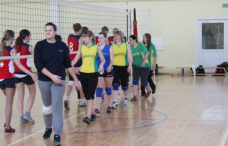 Соревнования по волейболу среди женских команд Серпуховского района Nnnddn22