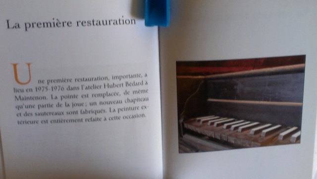 Ma troisième Ellowyne ! p.3 Imag0717