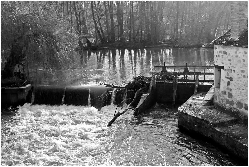 Hautes eaux sur le Loing Img_9411