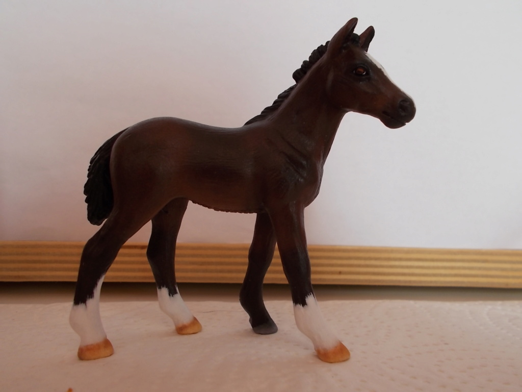 I started with repainting - Schleich horses - Page 8 Hanno_16