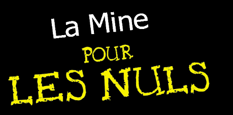 "Les Mines pour les Nuls" : informer la population Titre10