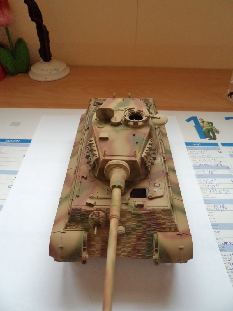 Me revoila avec un Tigre II (Dragon 1/35) - Page 2 Dsc01318