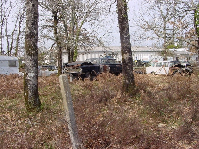 Vos photos d'épaves ou de voitures en état d'arrêt prolongé Dsc07913