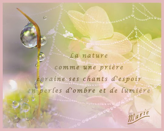 mon bébé d'amour Guillaume - Page 3 Blogna10
