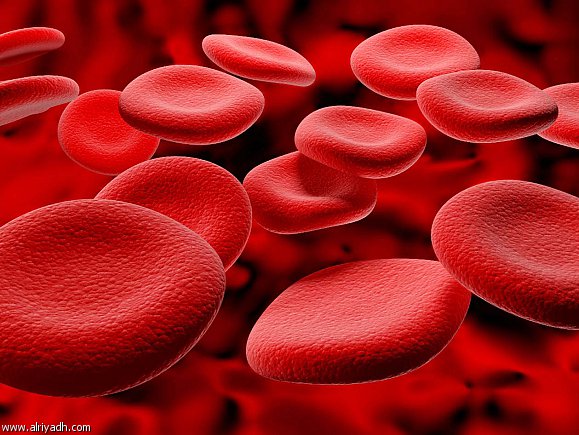 اطعمة ترفع نسبة كريات الدم الحمراء وتقيك الانيميا Foods-10