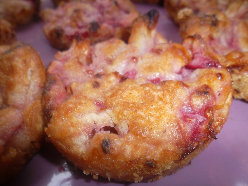 Crumble pommes framboise, un délice Sam_0810