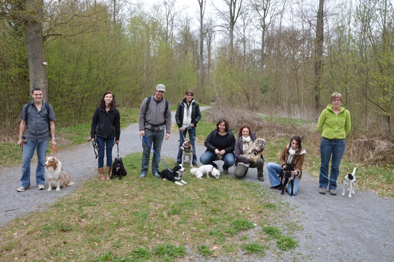 Balade avec chiens en forêt de Haguenau (départ du gros chêne) - Page 4 Dsc_0511