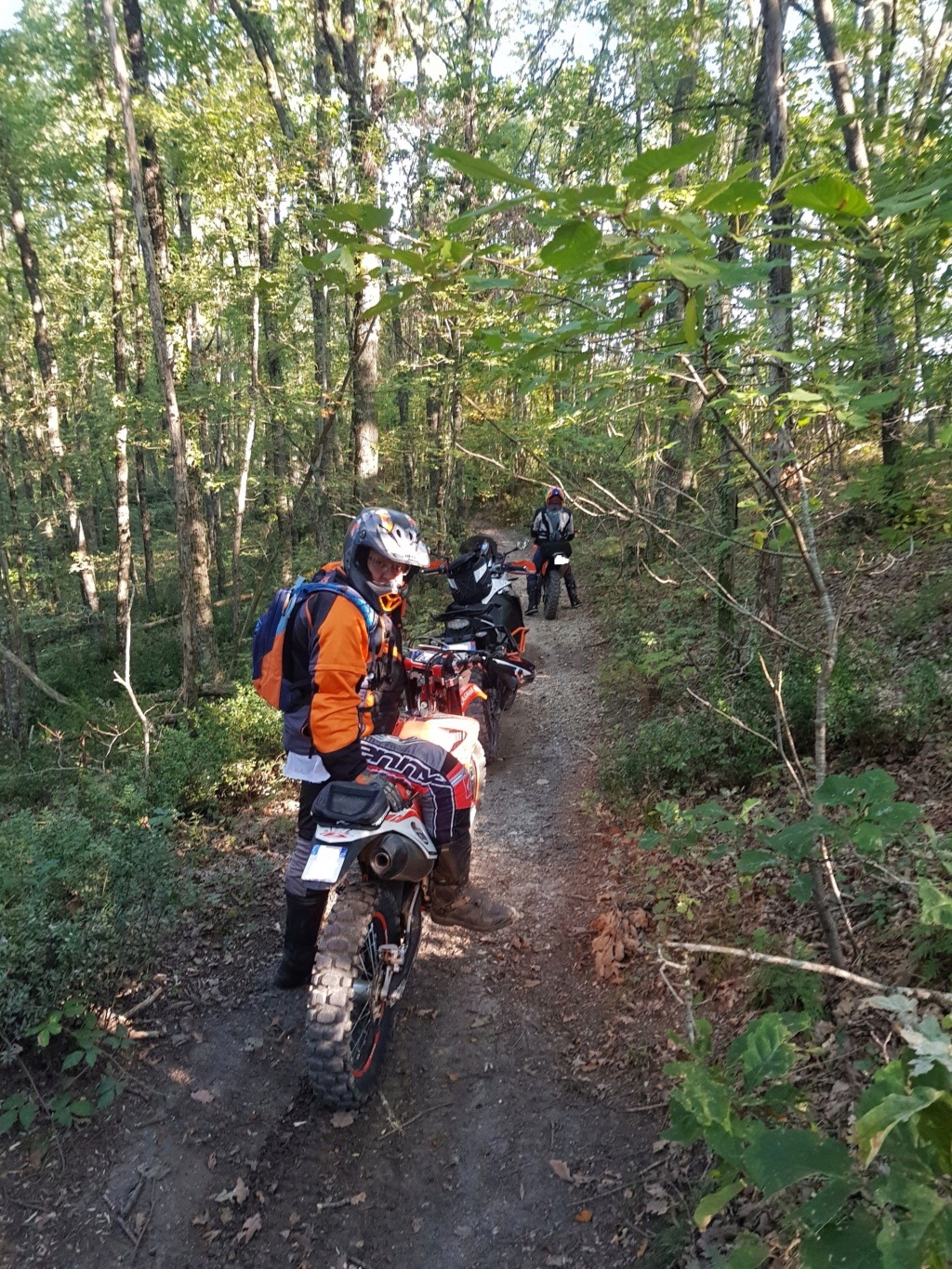 Sortie TET&Variante : de Isle sur Tarn à Montricoux , 146kms , 16 Octobre 2021 - Page 2 20211011
